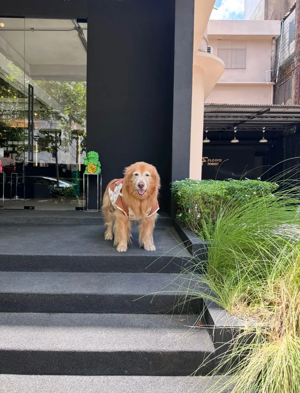 Co-incidence Process Coffee - Sathupradit 19 pets image 2