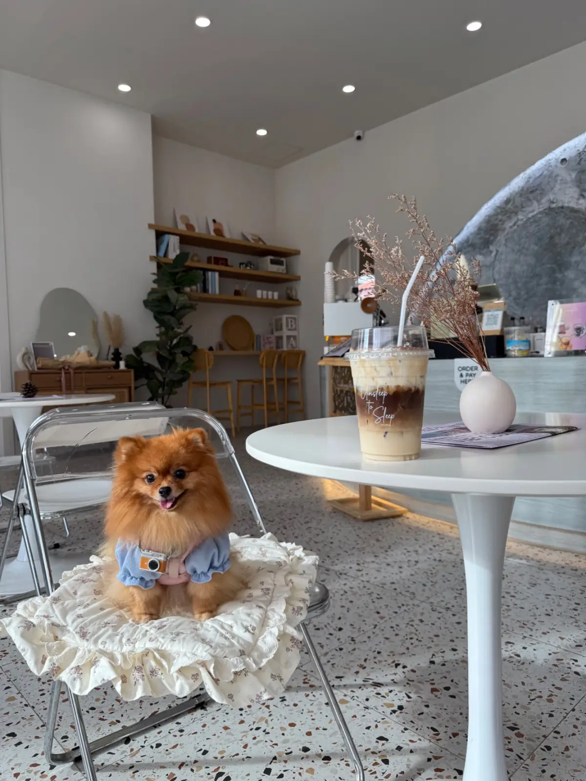 Unsleep To Sleep pets image 3