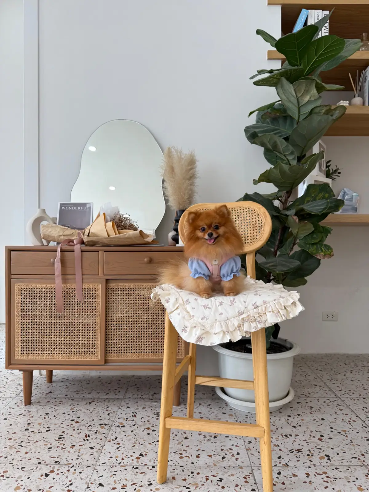 Unsleep To Sleep pets image 5