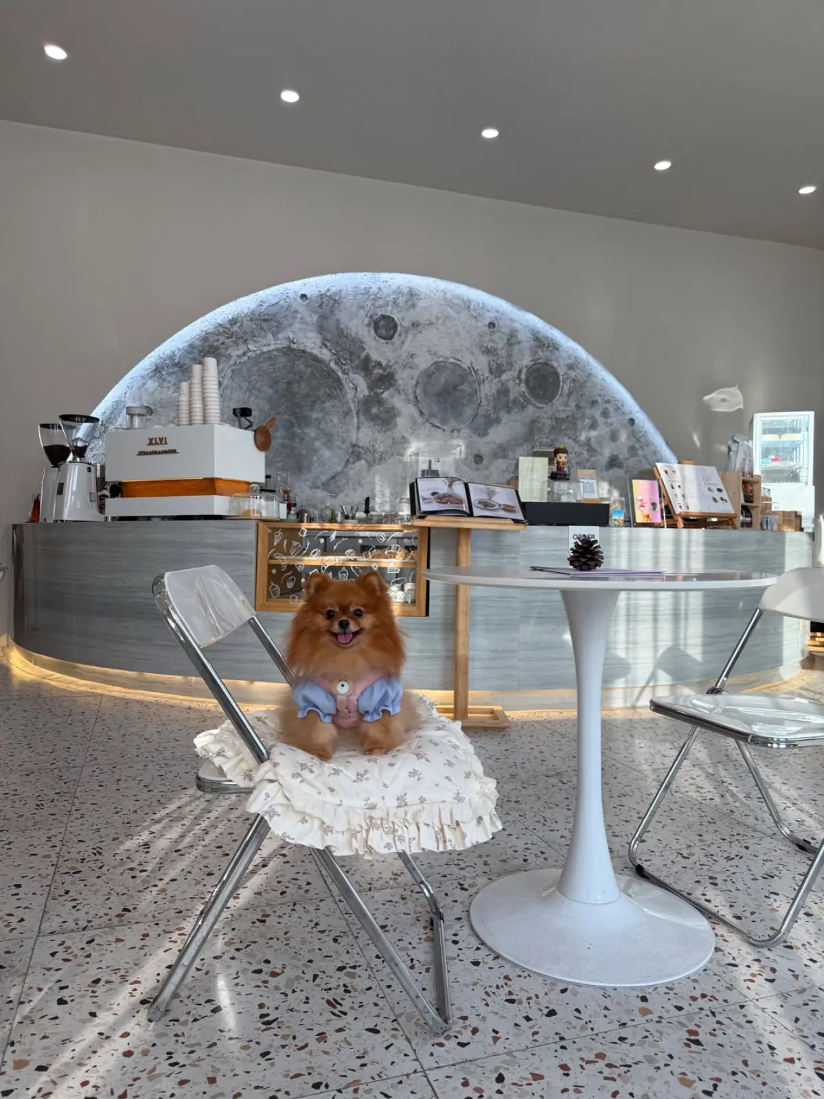 Unsleep To Sleep pets image 2