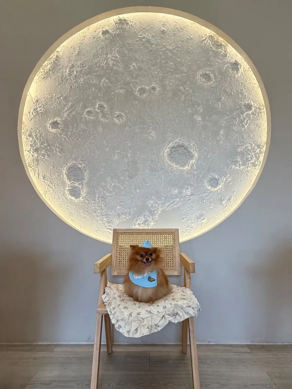 Unsleep To Sleep pets image 6