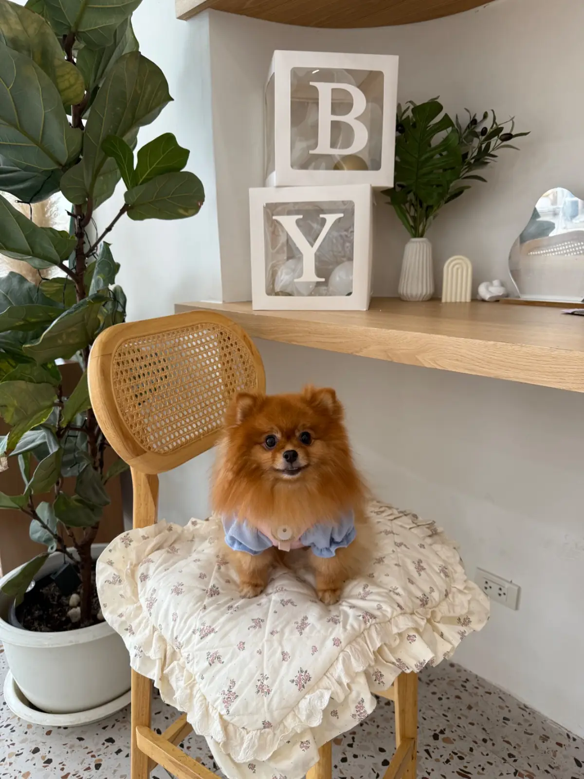 Unsleep To Sleep pets image 1