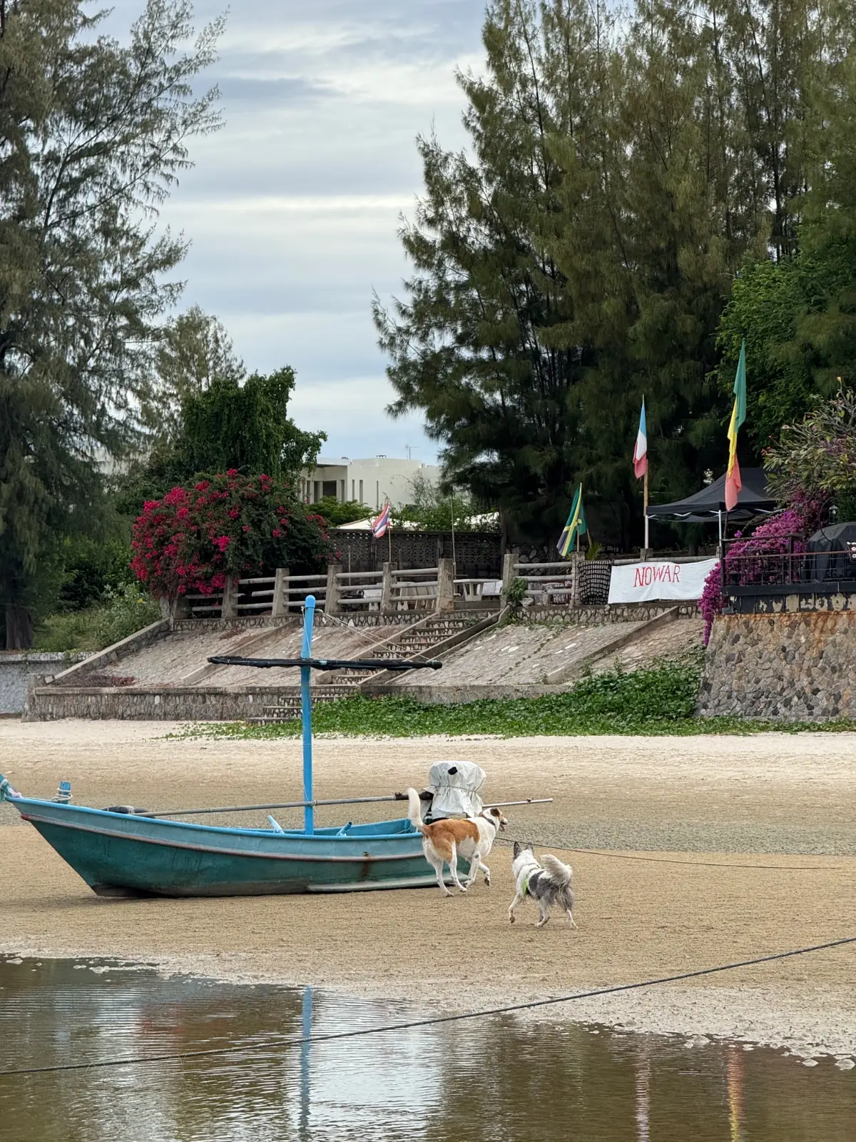 Captain Jack Bar pets image 3