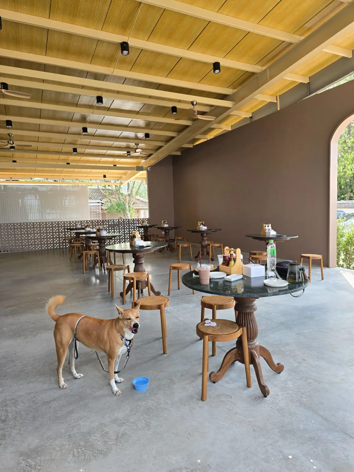 ความสุข บางแสน pets image 2