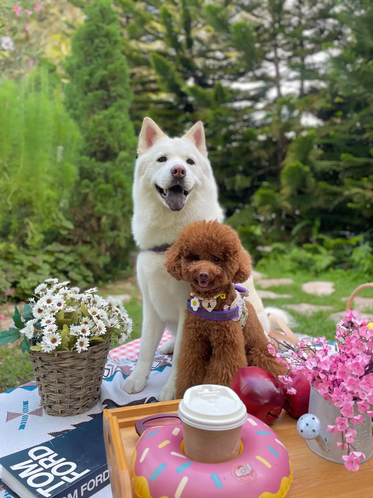 Wind & White House Cafe pets image 3