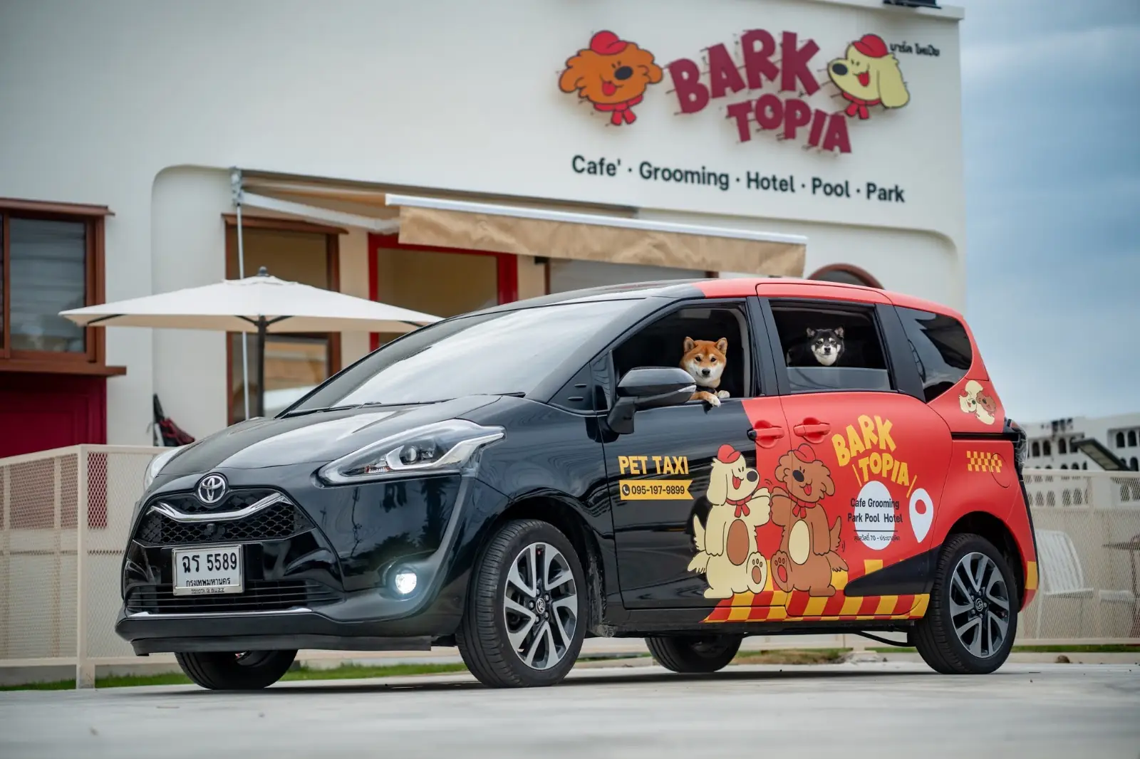 BARKTOPIA DOG PARK BKK other image 8