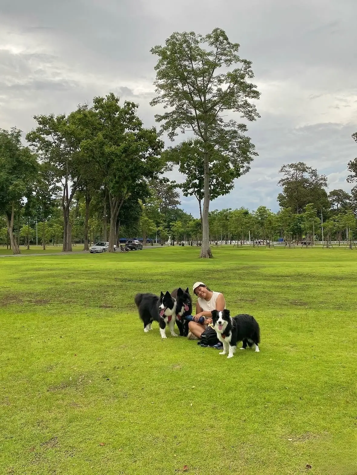 สวนเฉลิมพระเกียรติฯ อบจ.เชียงใหม่ pets image 8
