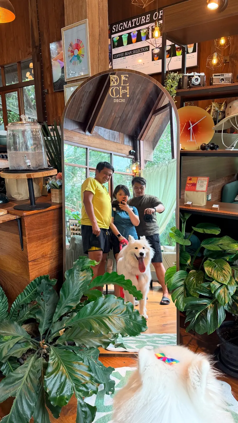 Dech's chill spot pets image 5