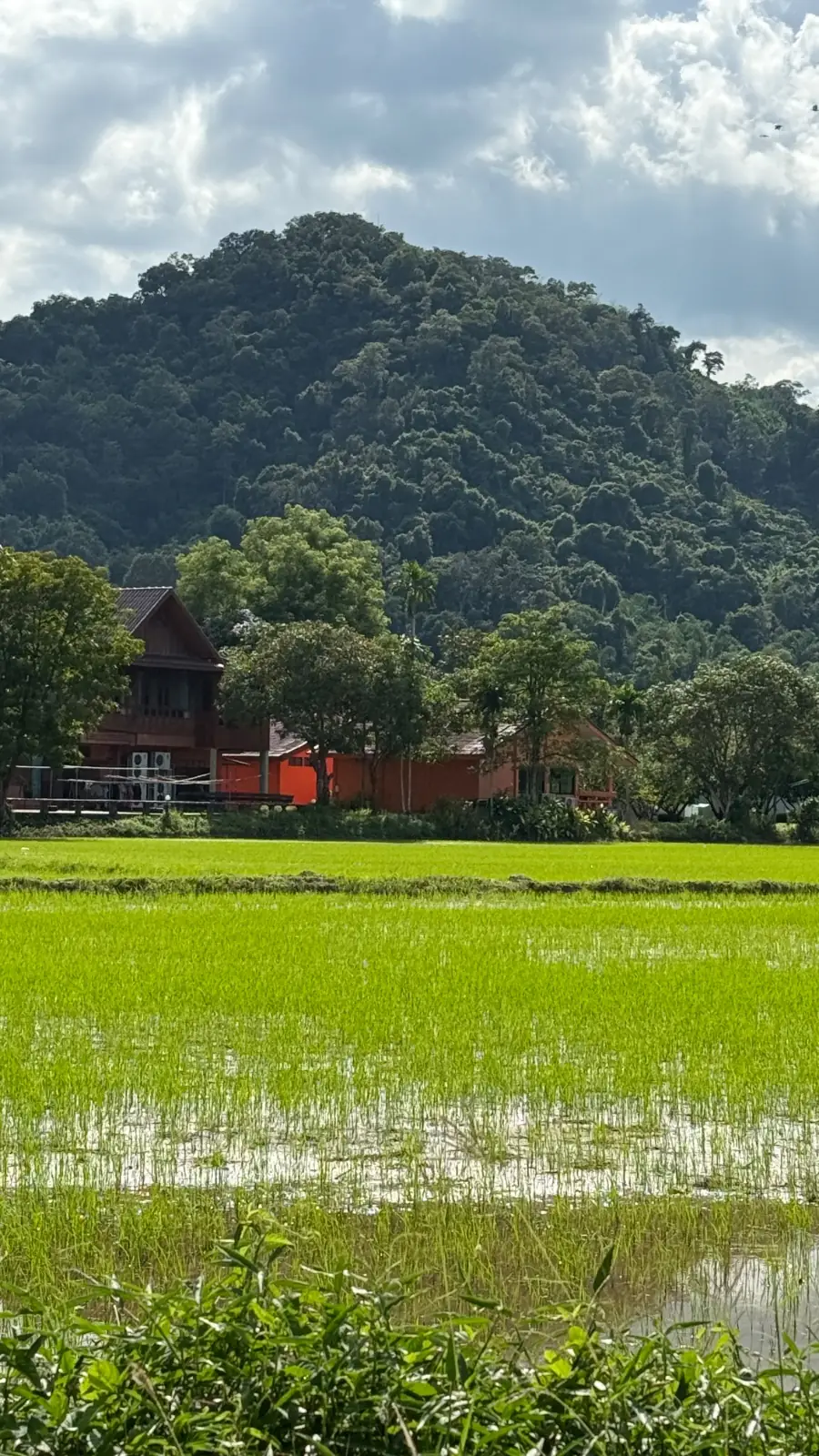 Lerva De Flora Resort And Spa amenities image 3