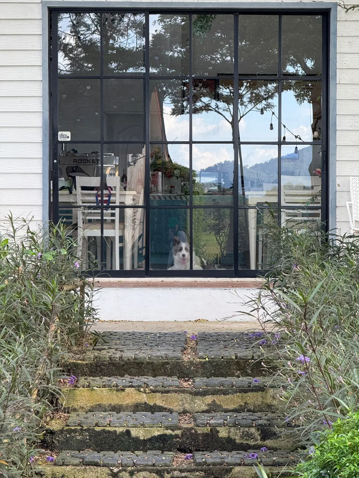 Lerva De Flora Resort And Spa pets image 1