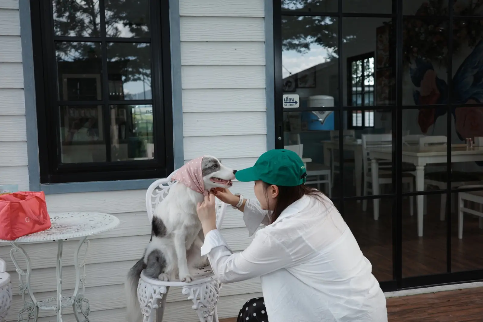 Lerva De Flora Resort And Spa pets image 2