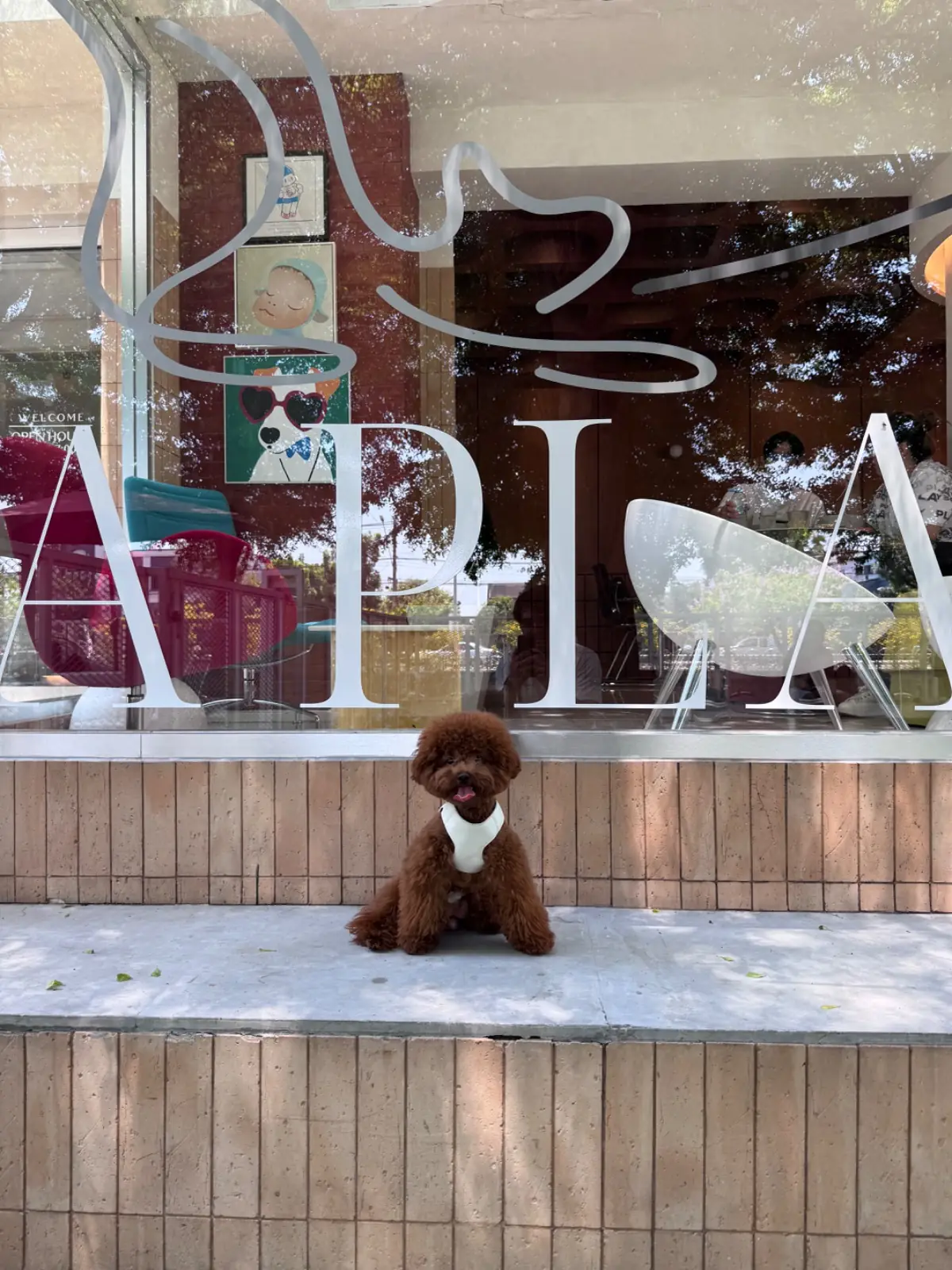 Petrichor Café pets image 11