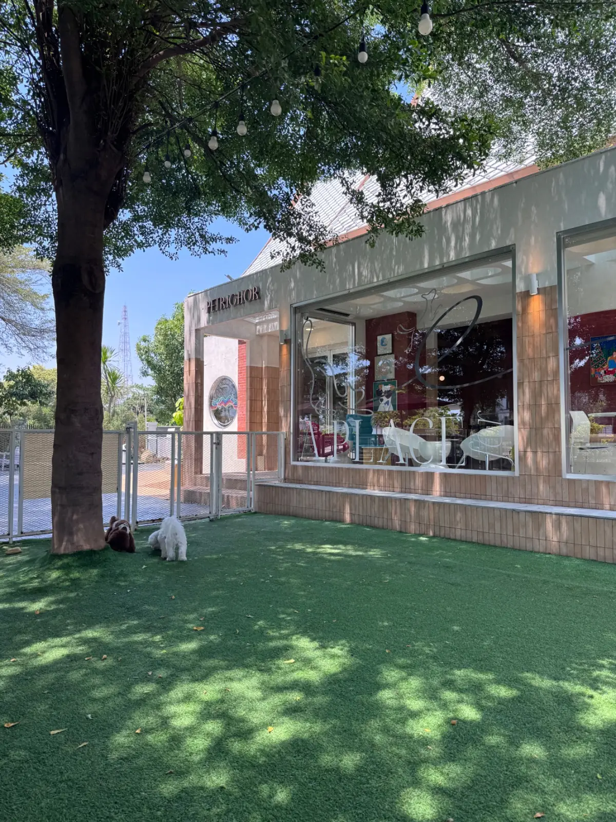 Petrichor Café overall image 4