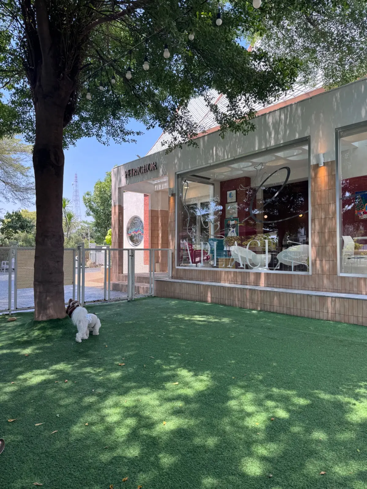 Petrichor Café pets image 1