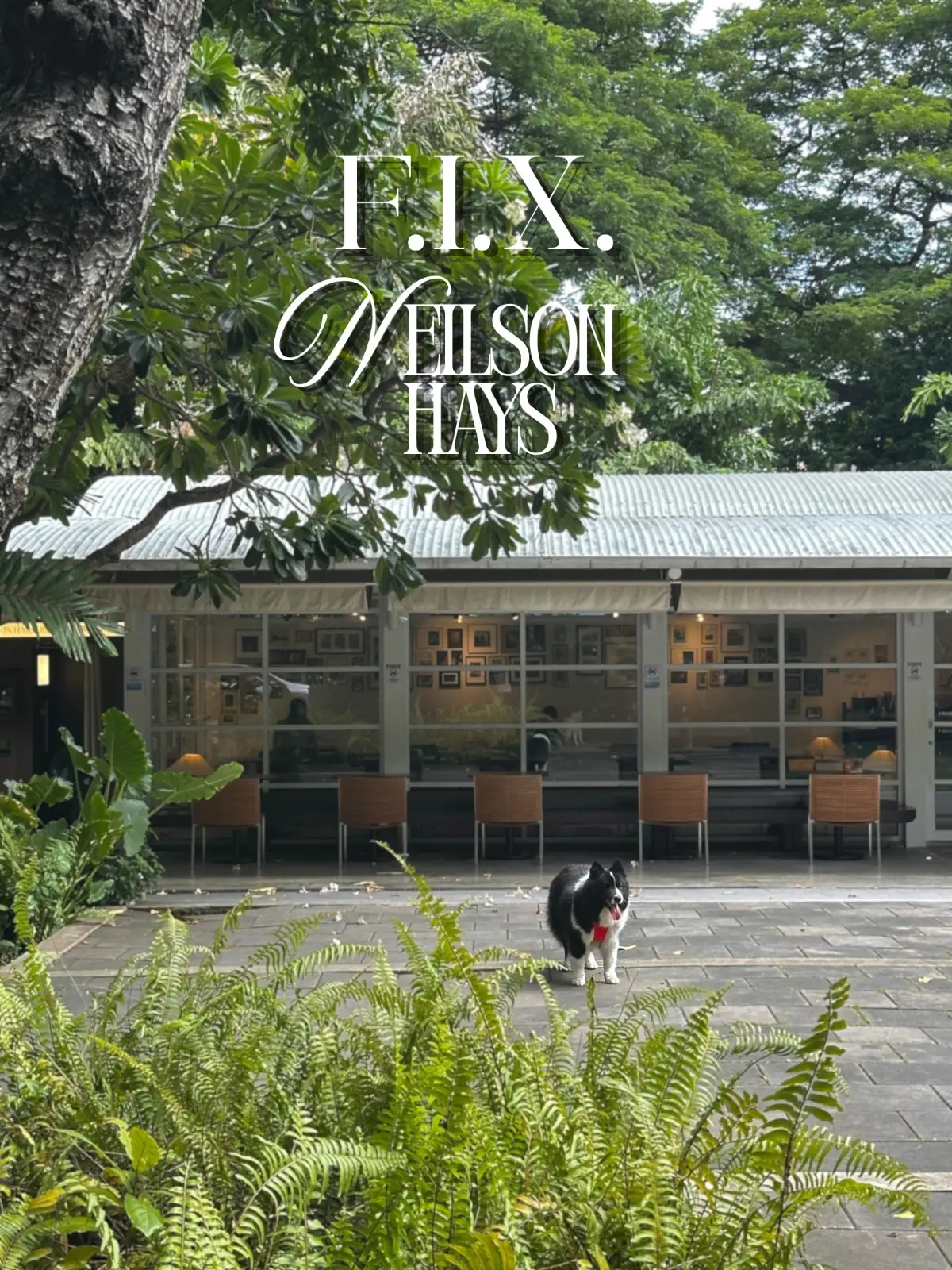 F.I.X. Neilson Hays overall image 1