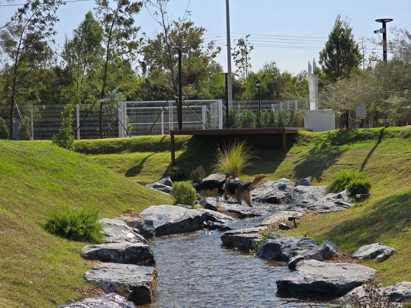 Farmsook Somwang Chaam pets image 1