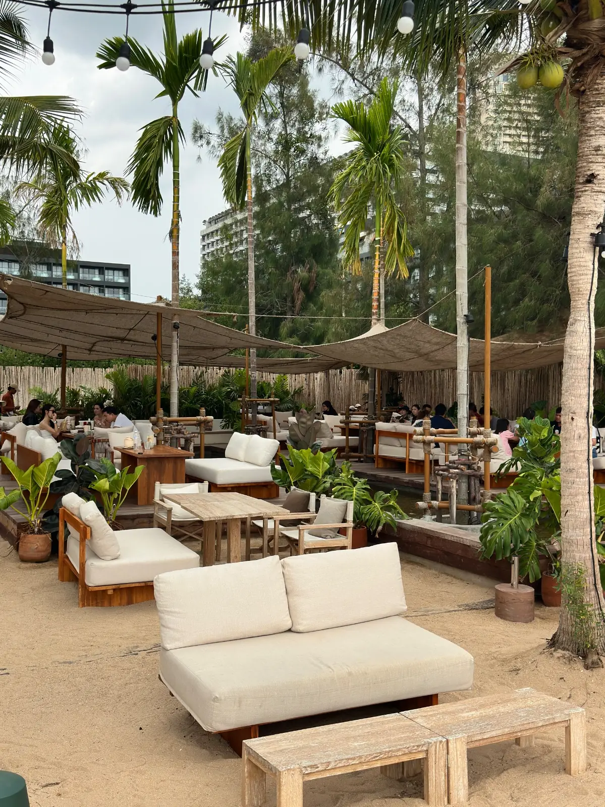 Pink Salmon Beach House overall image 4