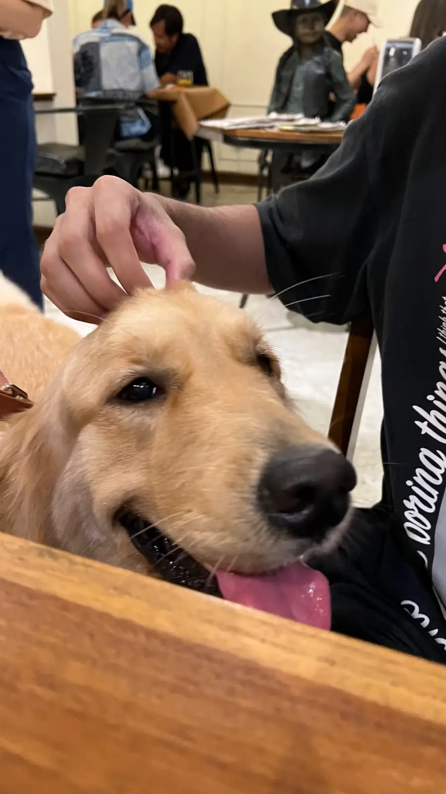 อยู่บ้าน อีทเทอรี่ pets image 19