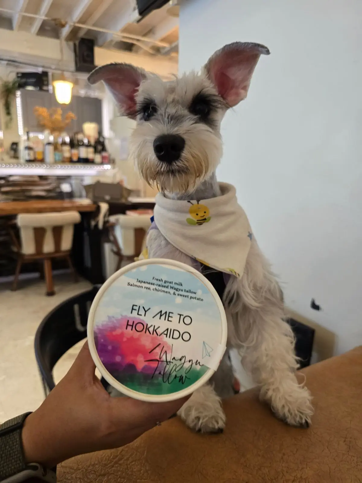 อยู่บ้าน อีทเทอรี่ pets image 13