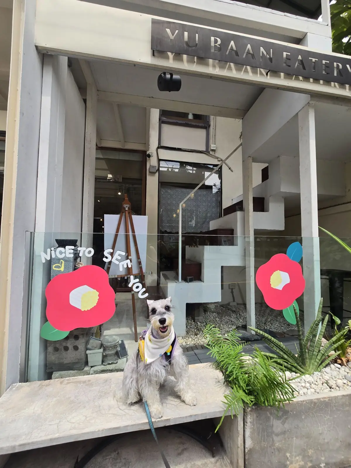 อยู่บ้าน อีทเทอรี่ pets image 15