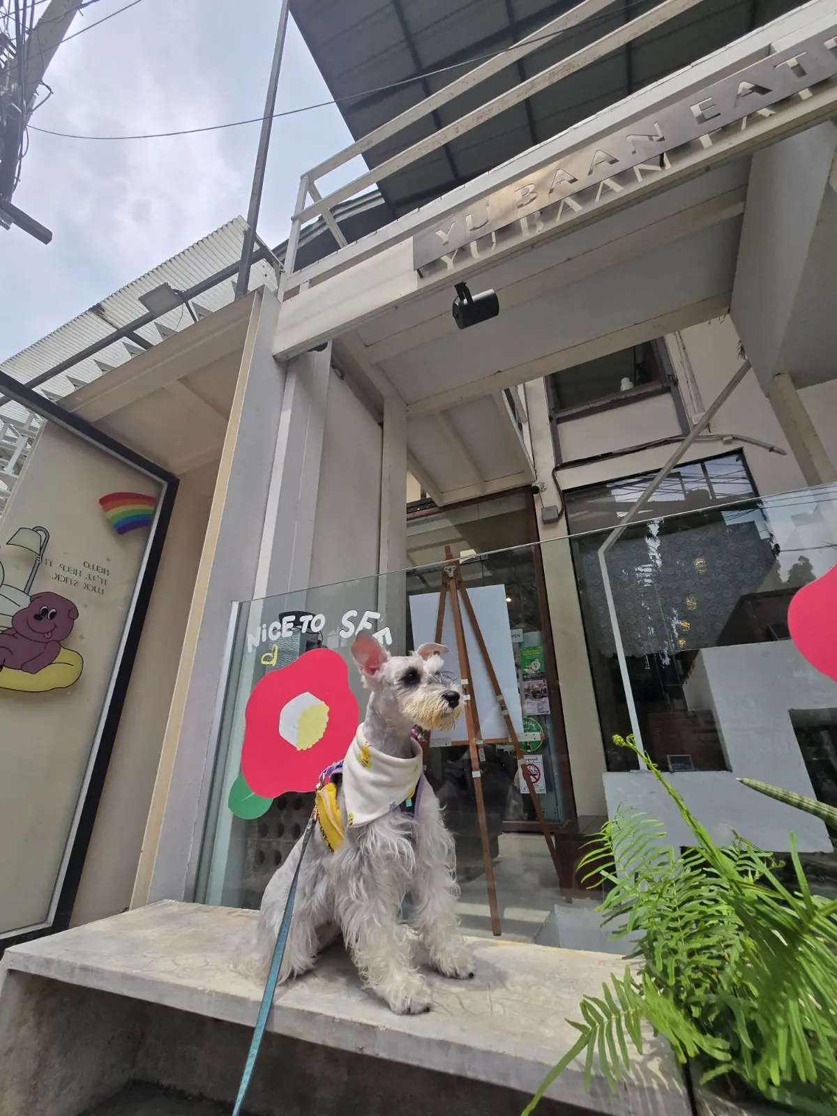 อยู่บ้าน อีทเทอรี่ pets image 8