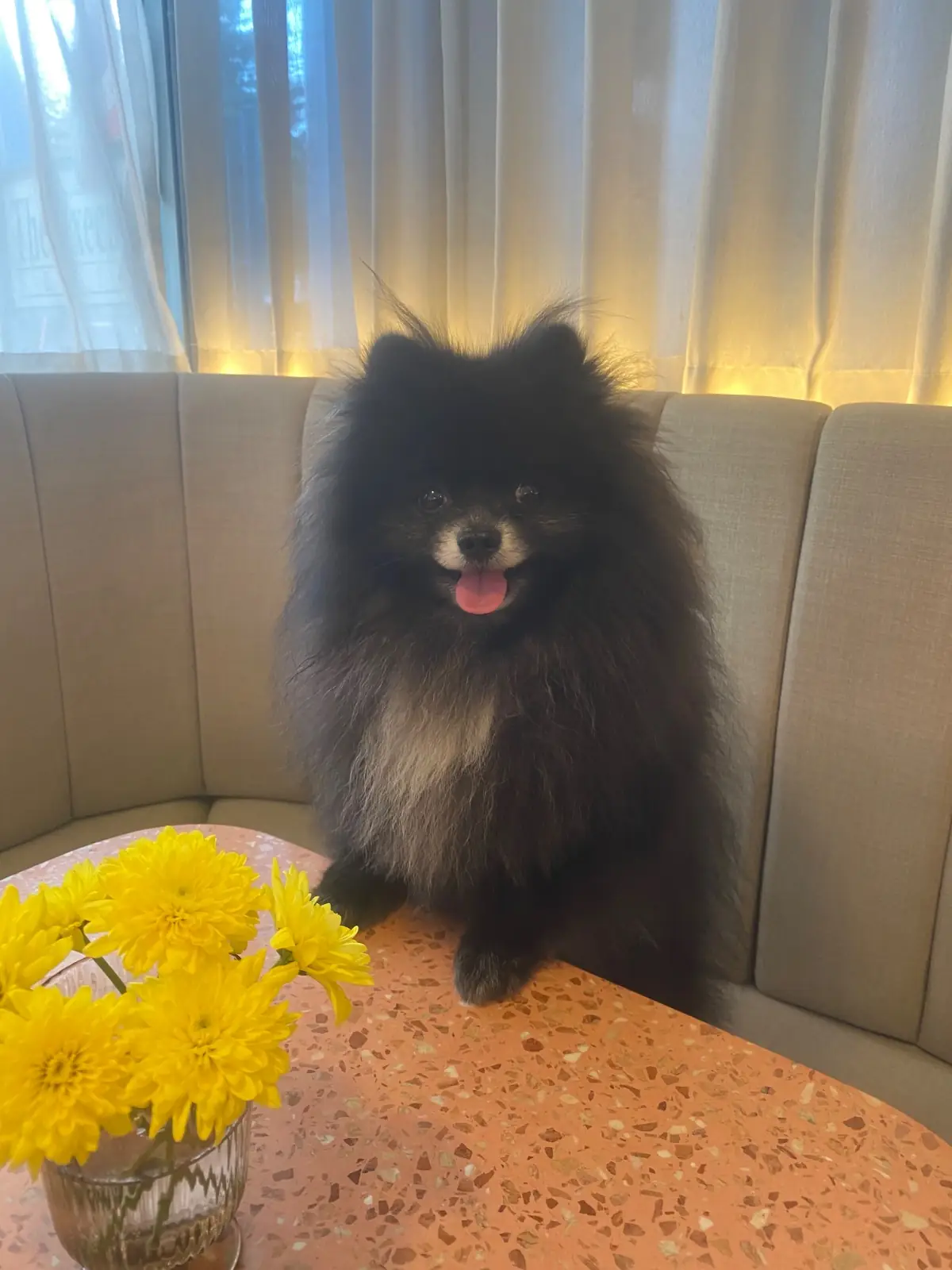 Wondering Bakeshop other image 1