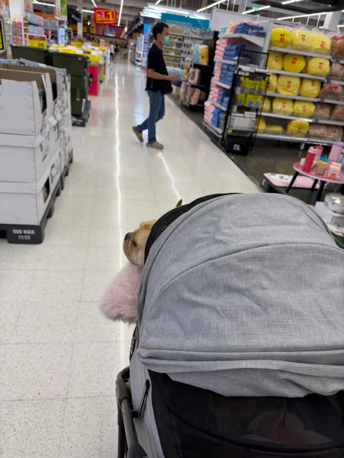 Big C Extra - Mega Bangna pets image 1