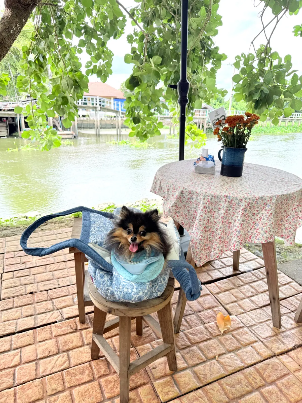 ยายทำให้หลานขาย overall image 2
