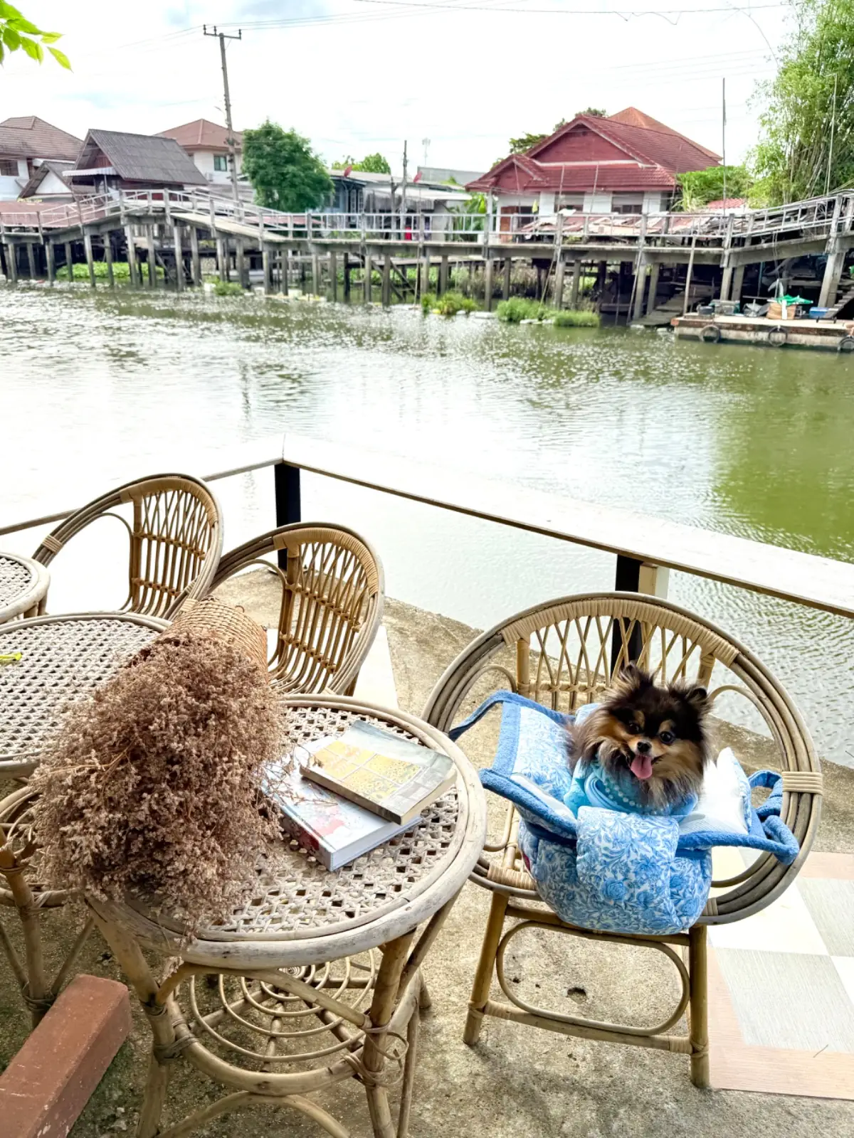 ยายทำให้หลานขาย overall image 4