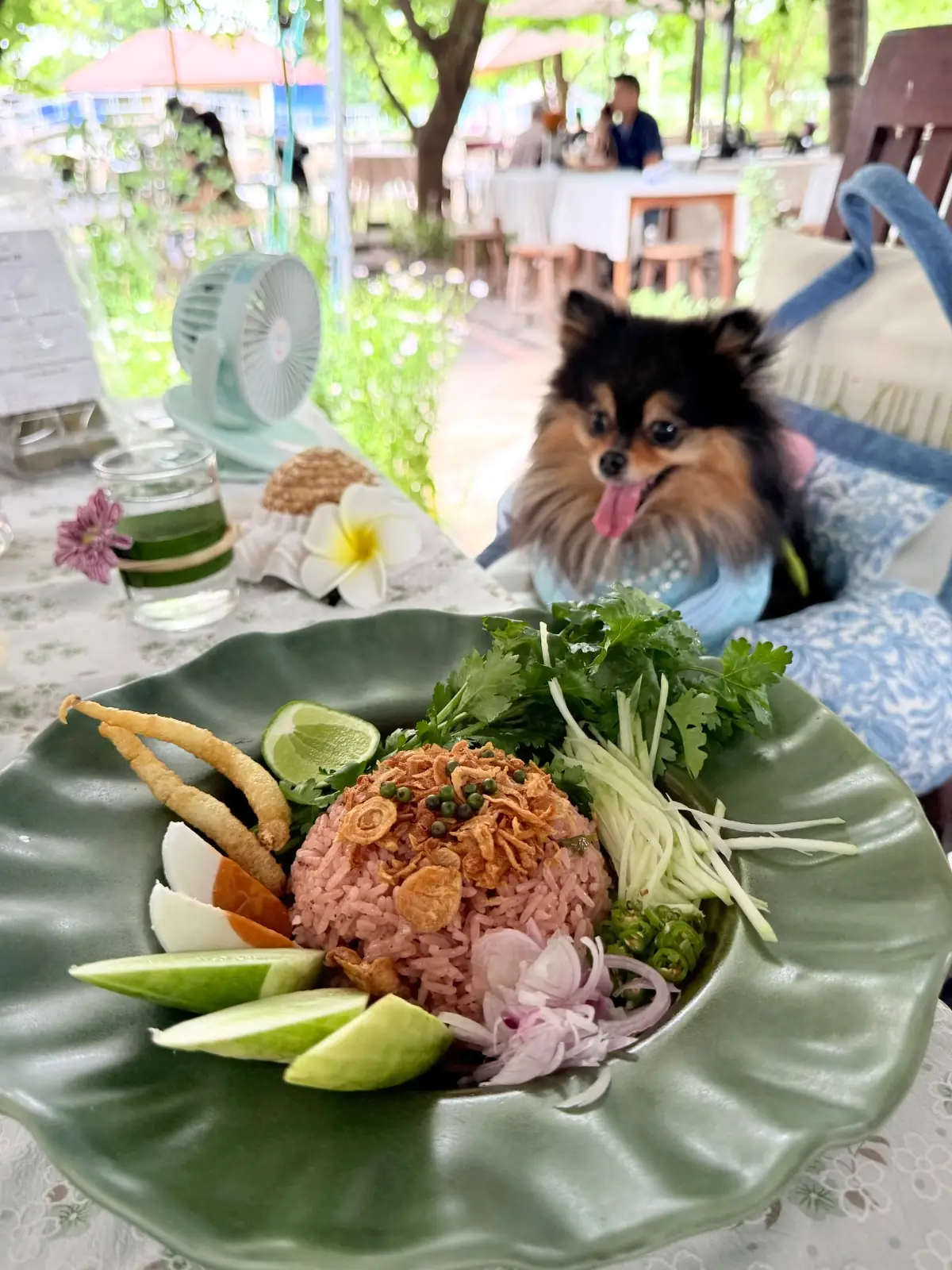ยายทำให้หลานขาย pets image 2