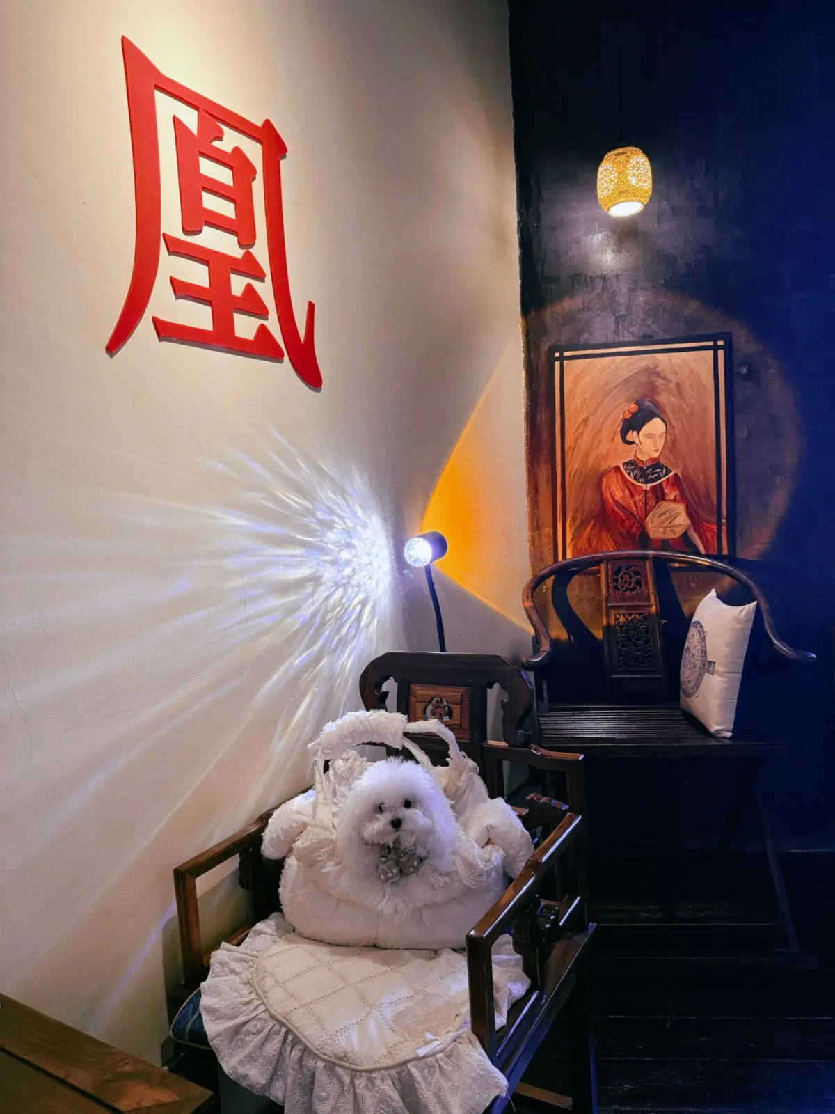 Feng Huang Tea Bar pets image 5