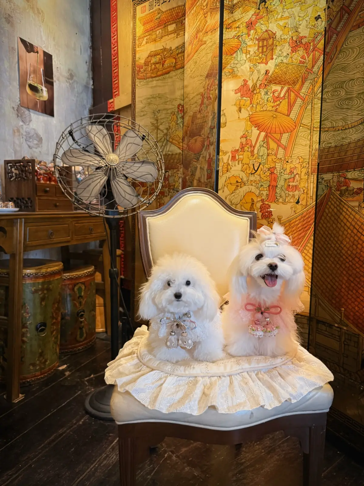 Feng Huang Tea Bar pets image 2
