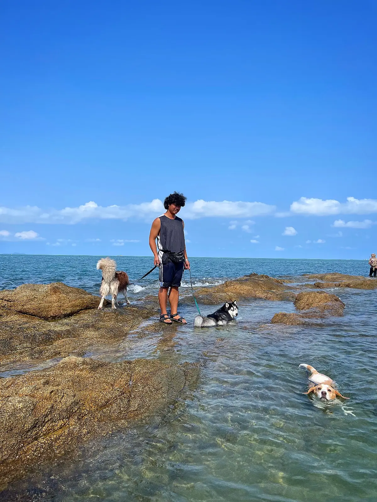 ซาซิมิ หาดลับ pets image 2