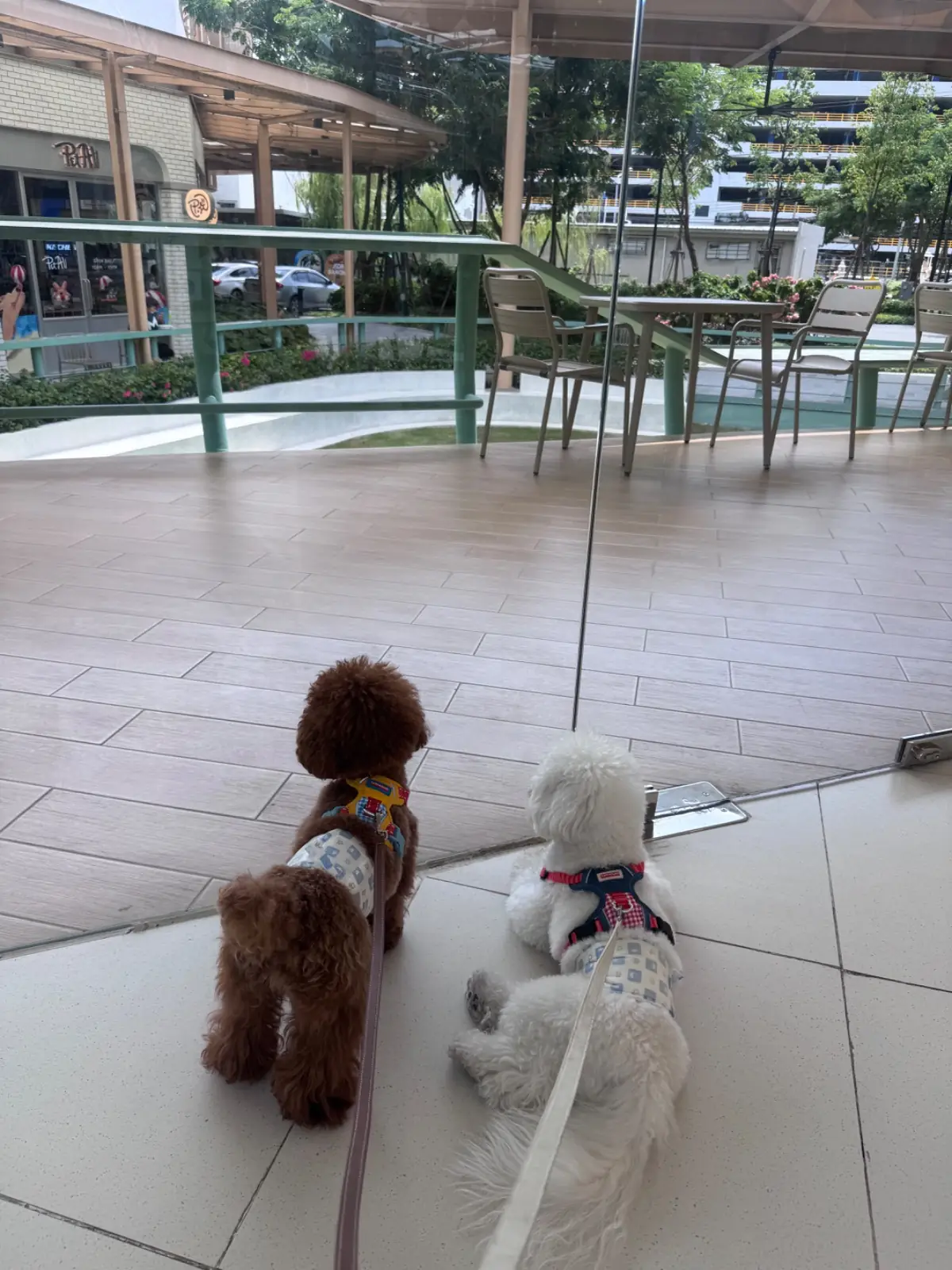 Stof - Parc Bangna pets image 3