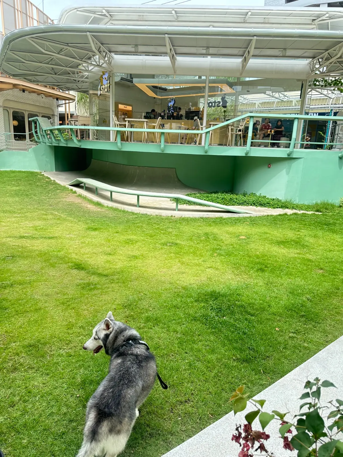 Stof - Parc Bangna pets image 8