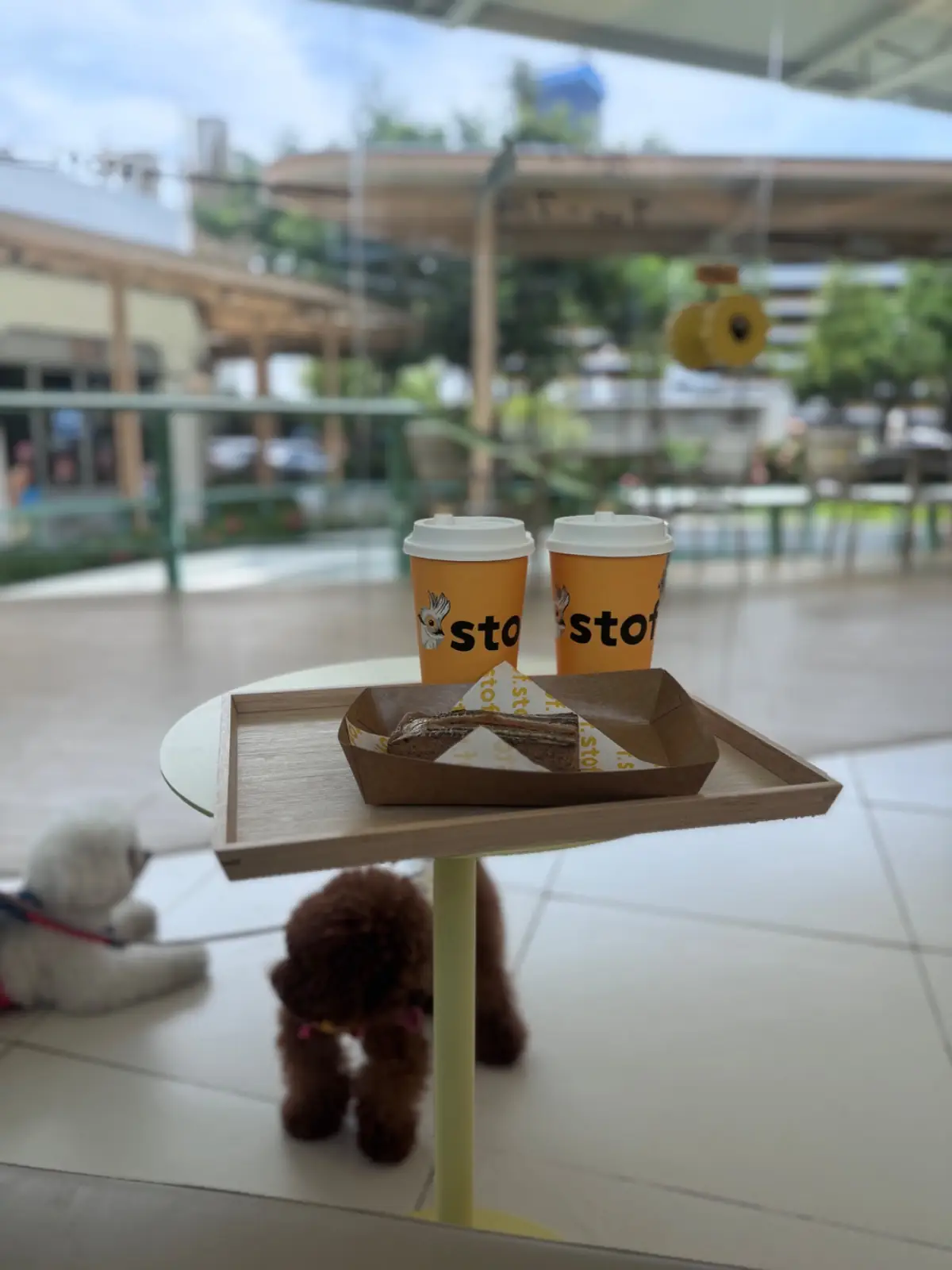 Stof - Parc Bangna pets image 7