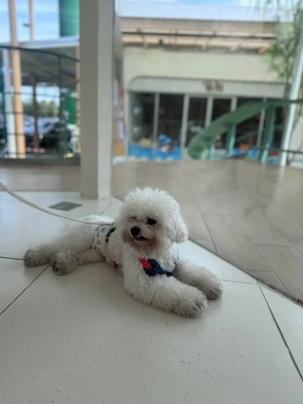 Stof - Parc Bangna pets image 4