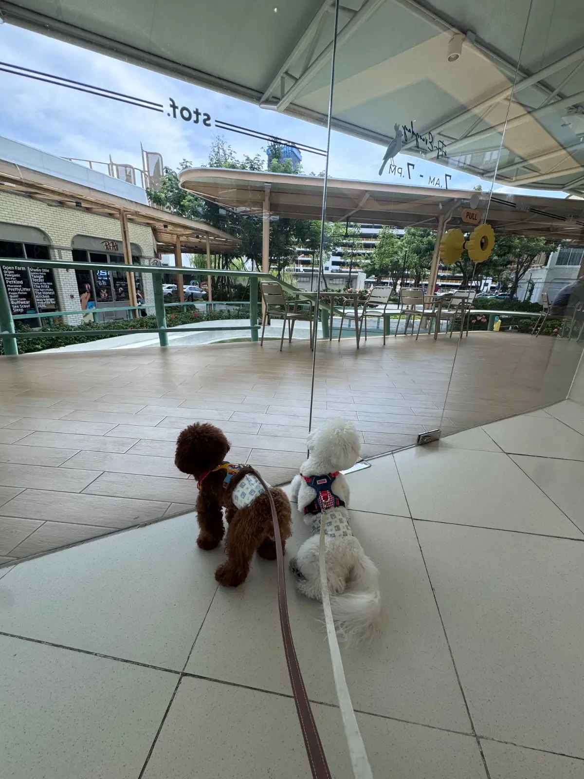 Stof - Parc Bangna pets image 2