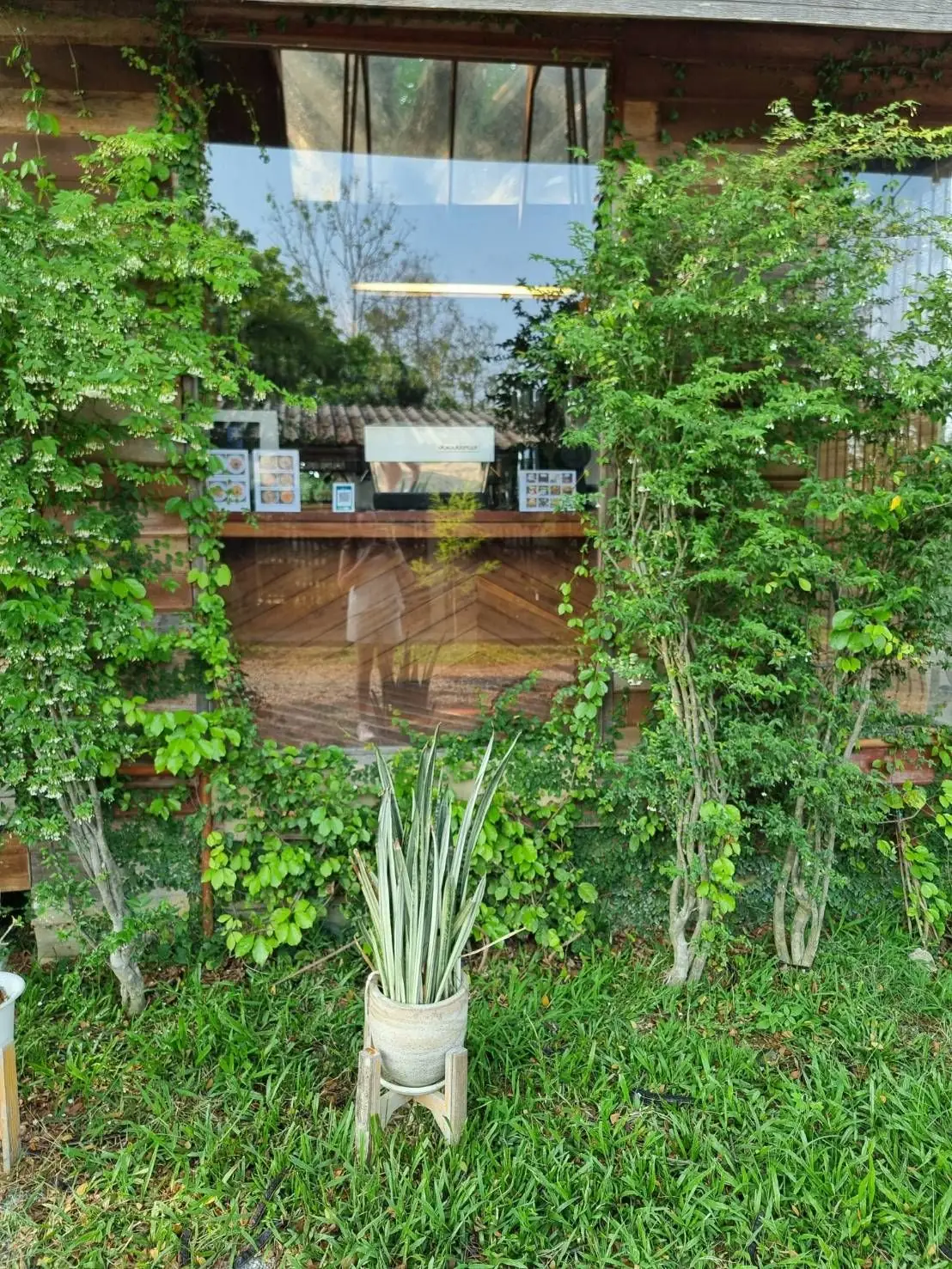 Daynin.cafe overall image 3