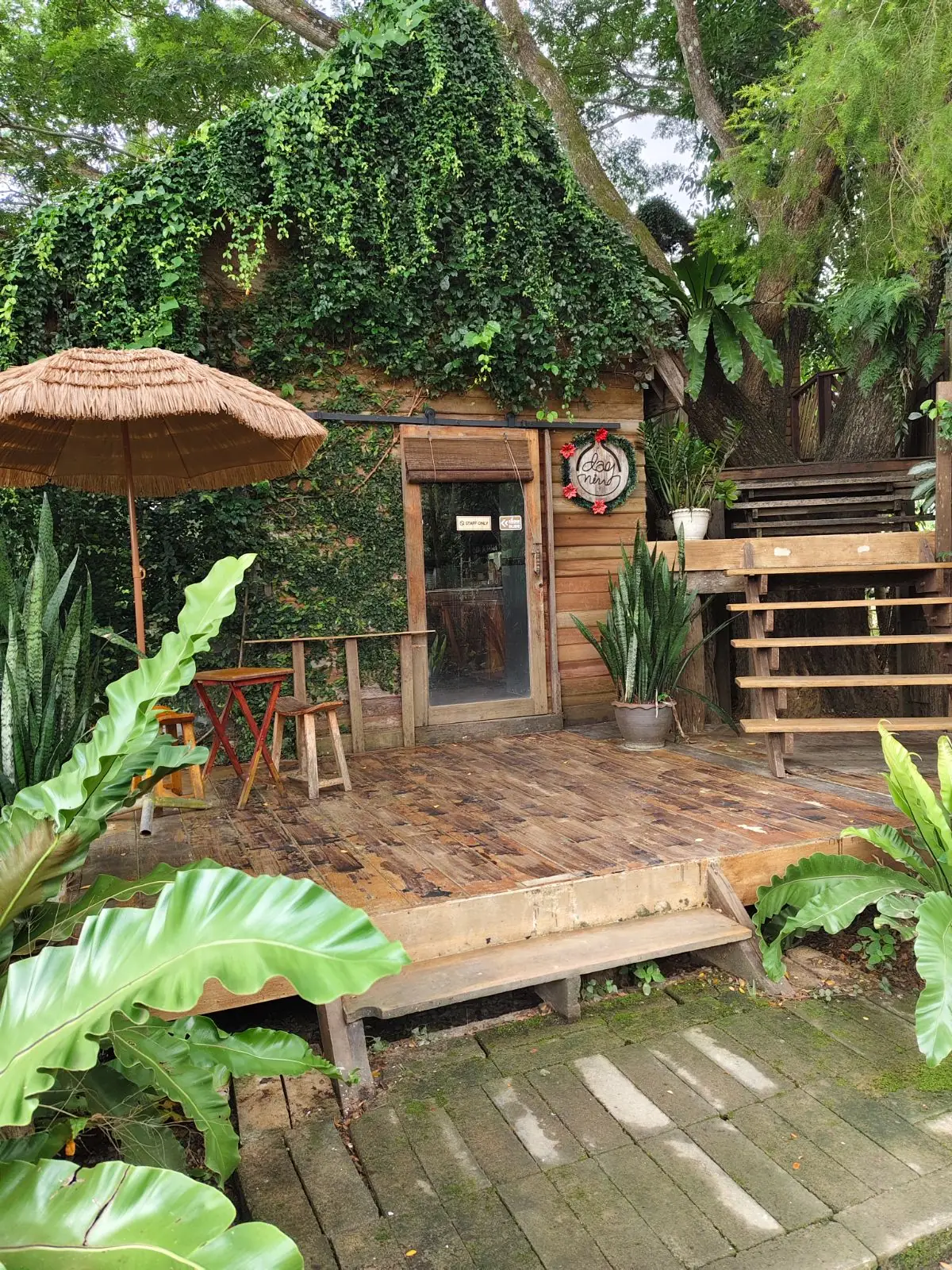 Daynin.cafe overall image 5