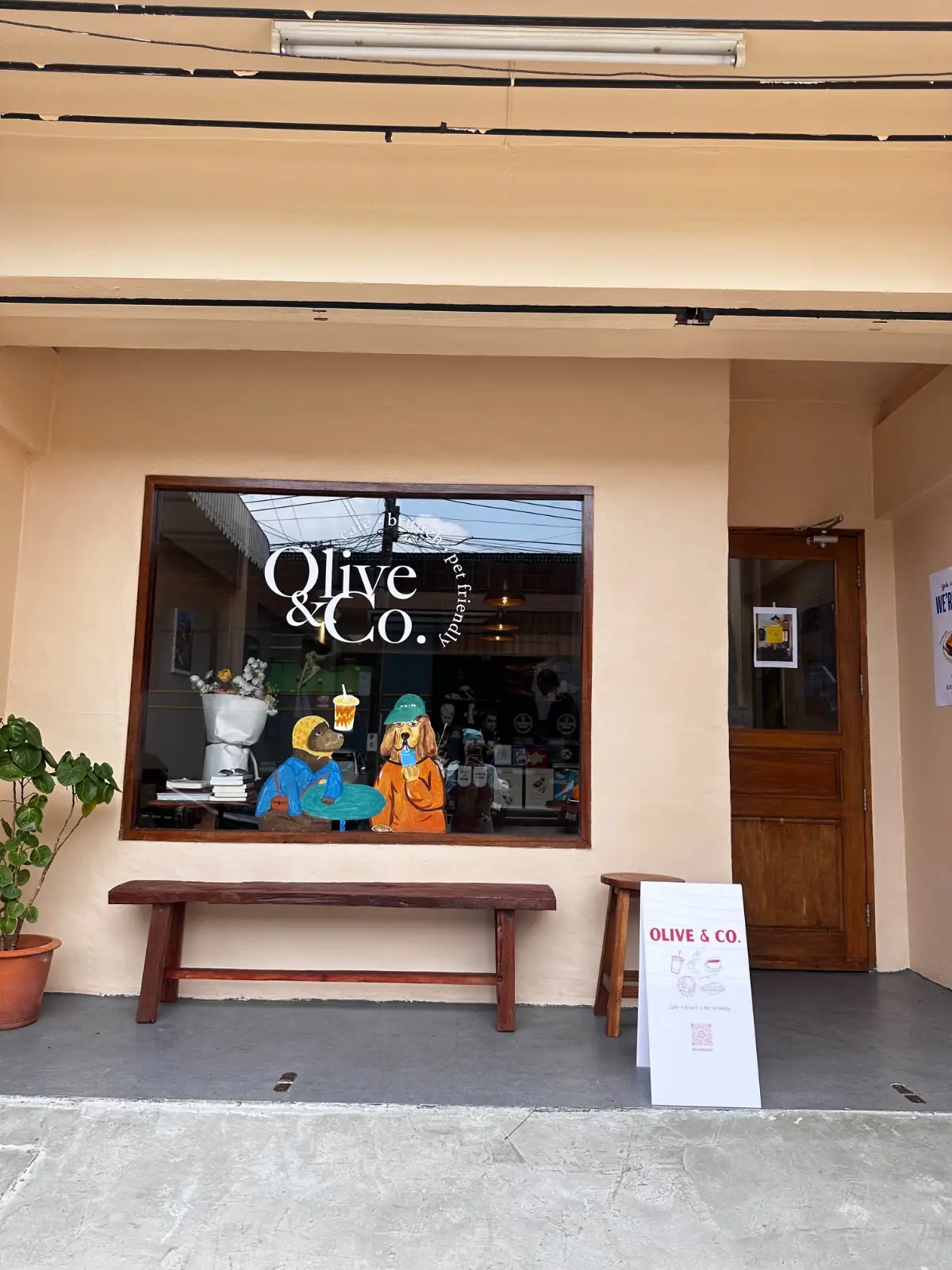 Olive&Co.Cafe overall image 1