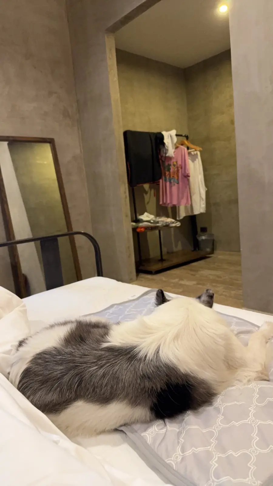 The Barn Hua Hin pets image 2