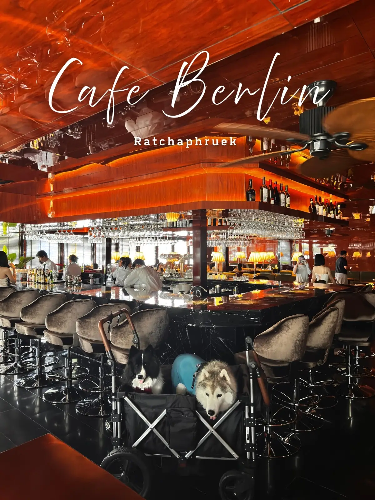 Cafe Berlin overall image 1