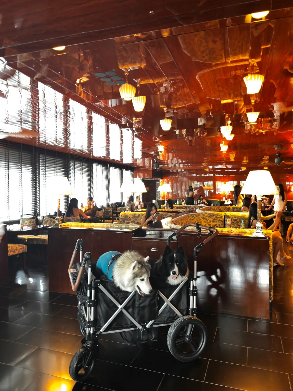 Cafe Berlin overall image 2