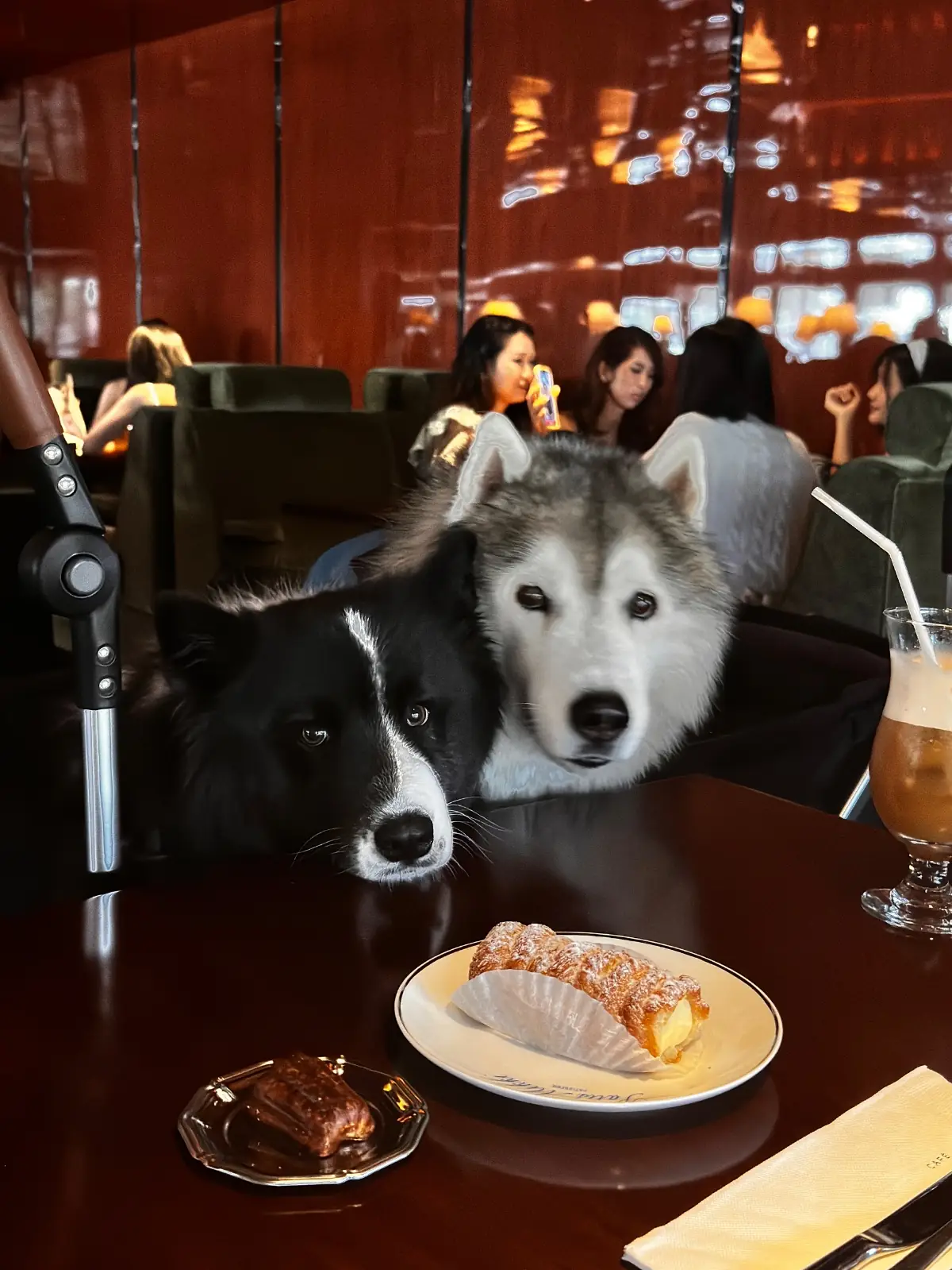 Cafe Berlin pets image 1