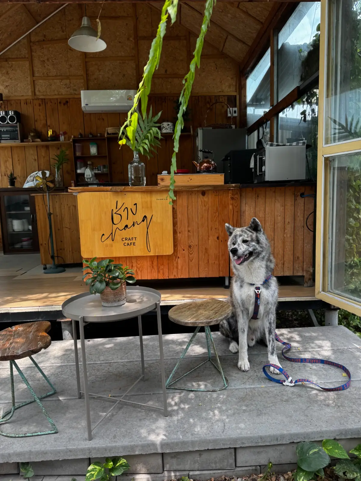 Chang Craft Cafe overall image 1