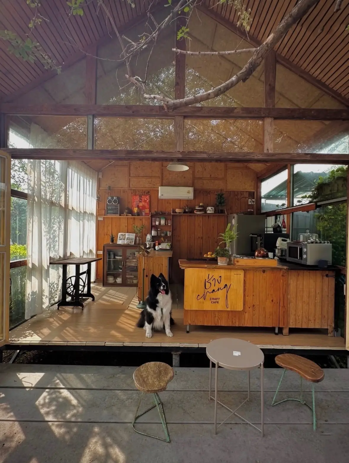 Chang Craft Cafe pets image 8