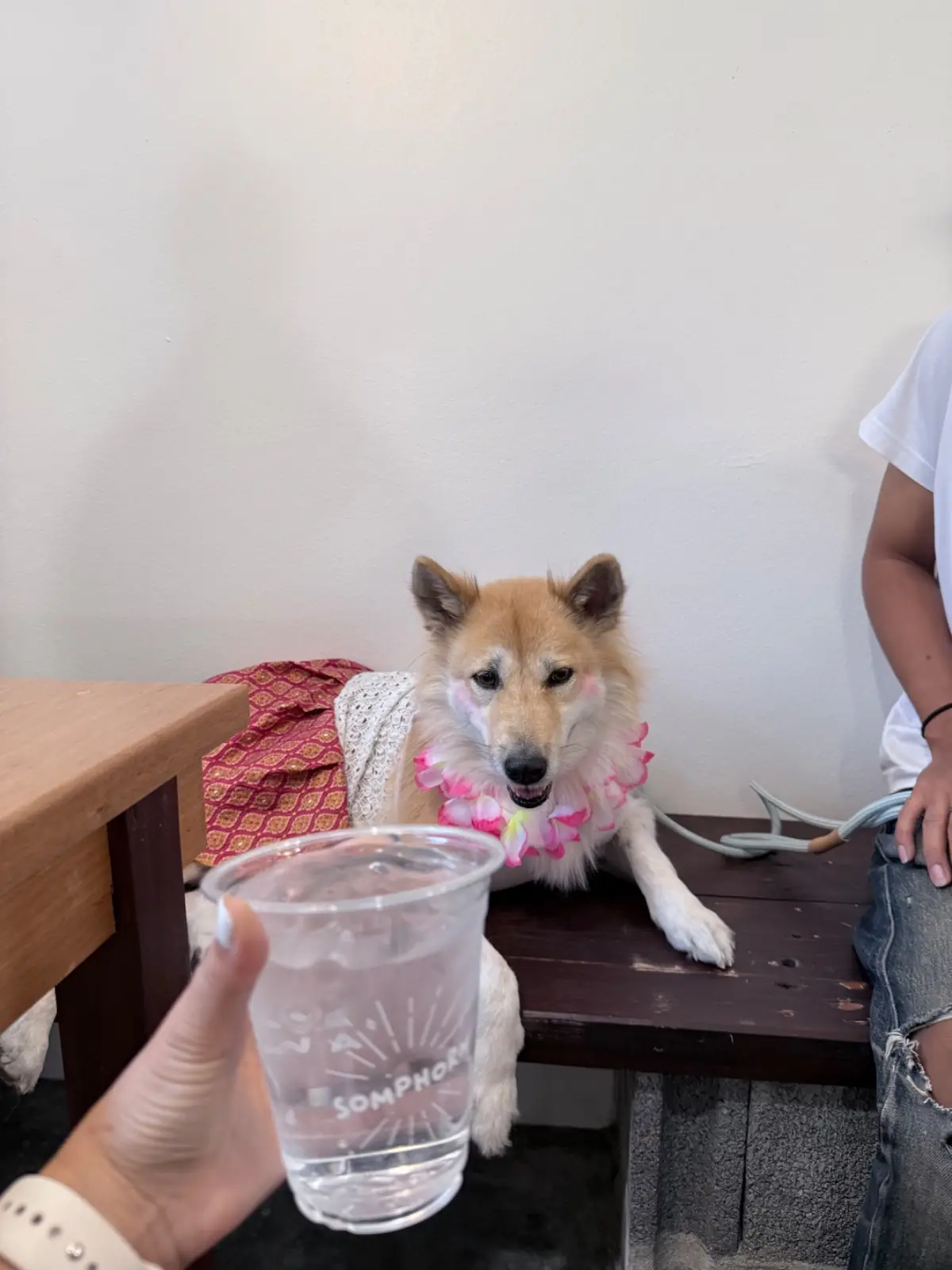 บ้านไร่ 9 สืบ pets image 1