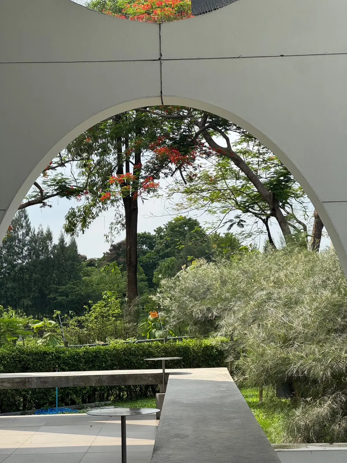 Bitter Kiss *Coffee and Brunch* ambiance image 1