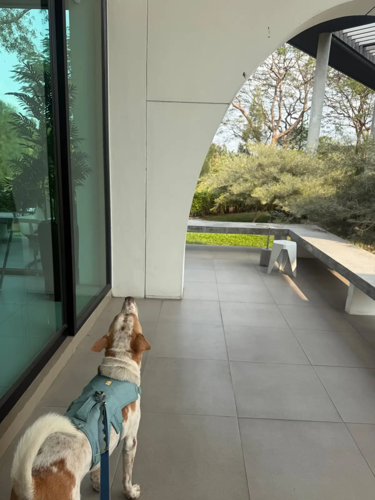 Bitter Kiss *Coffee and Brunch* pets image 1